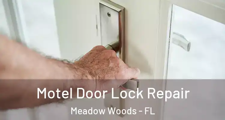 Motel Door Lock Repair Meadow Woods - FL