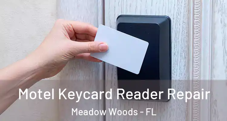 Motel Keycard Reader Repair Meadow Woods - FL