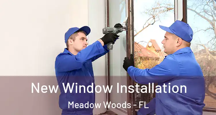 New Window Installation Meadow Woods - FL
