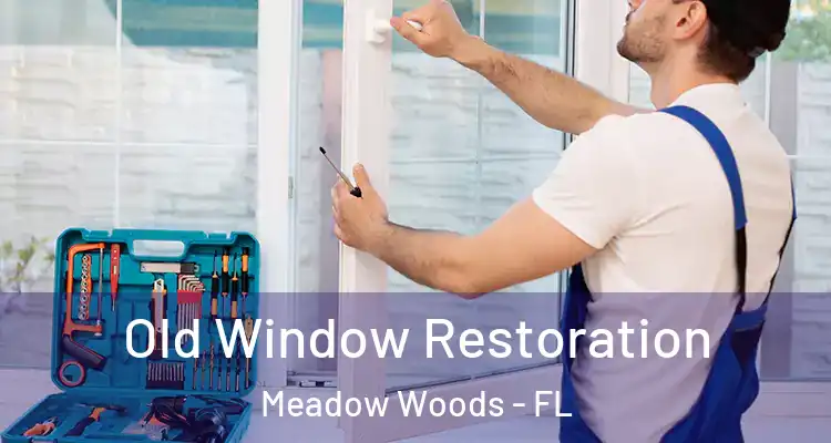Old Window Restoration Meadow Woods - FL