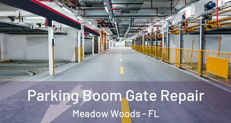 Parking Boom Gate Repair Meadow Woods - FL
