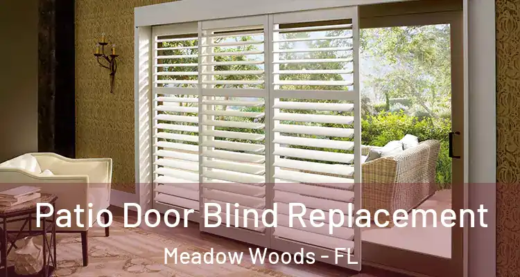 Patio Door Blind Replacement Meadow Woods - FL