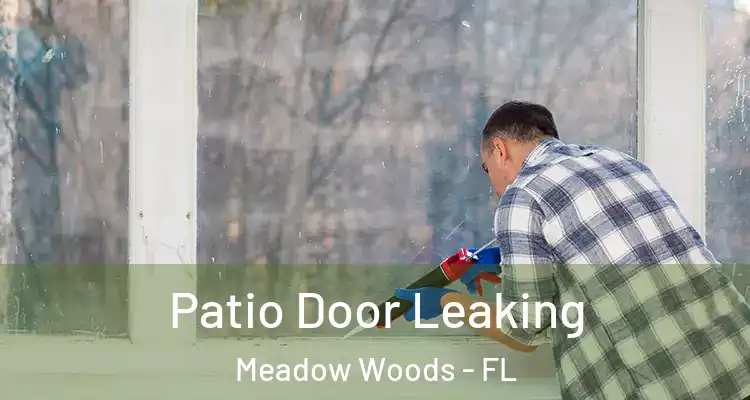 Patio Door Leaking Meadow Woods - FL