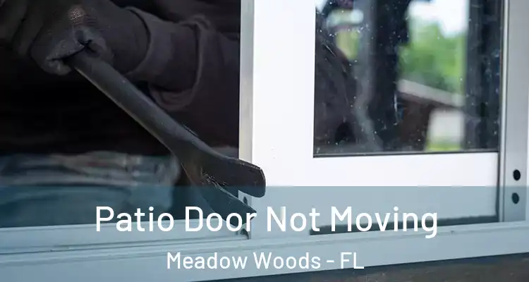 Patio Door Not Moving Meadow Woods - FL