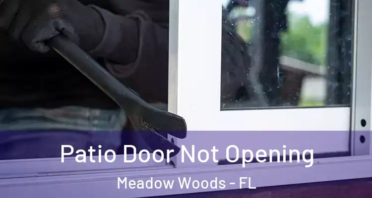 Patio Door Not Opening Meadow Woods - FL