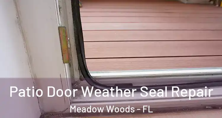 Patio Door Weather Seal Repair Meadow Woods - FL