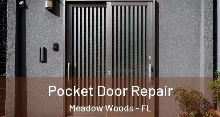 Pocket Door Repair Meadow Woods - FL