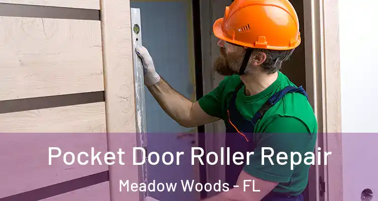 Pocket Door Roller Repair Meadow Woods - FL