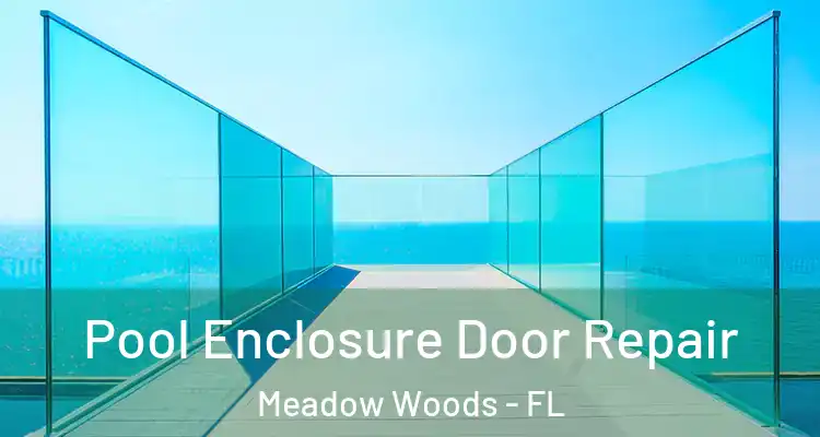 Pool Enclosure Door Repair Meadow Woods - FL