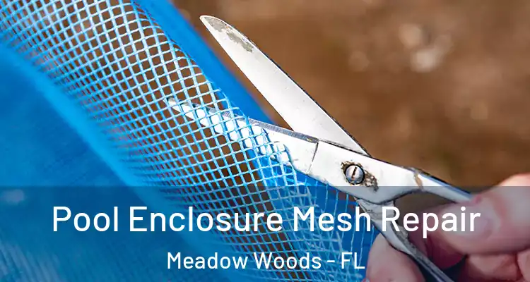 Pool Enclosure Mesh Repair Meadow Woods - FL