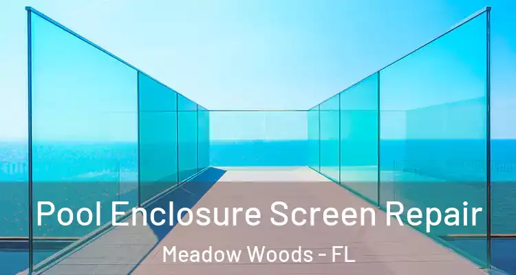  Pool Enclosure Screen Repair Meadow Woods - FL