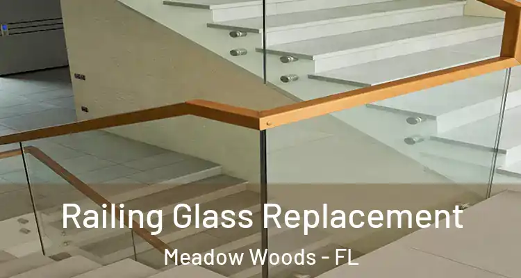 Railing Glass Replacement Meadow Woods - FL