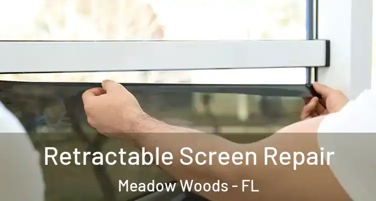 Retractable Screen Repair Meadow Woods - FL