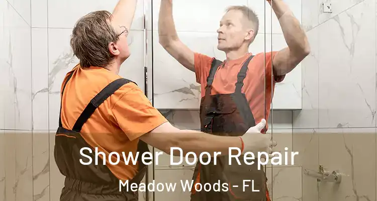 Shower Door Repair Meadow Woods - FL