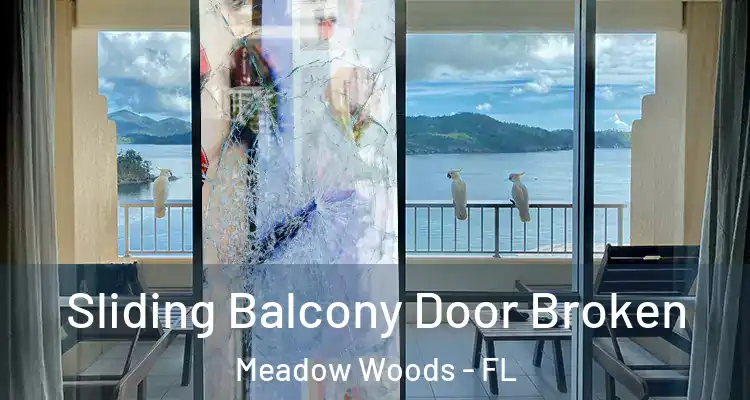 Sliding Balcony Door Broken Meadow Woods - FL