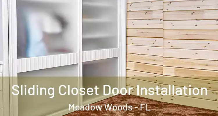 Sliding Closet Door Installation Meadow Woods - FL