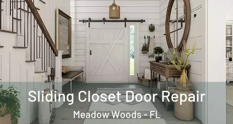 Sliding Closet Door Repair Meadow Woods - FL