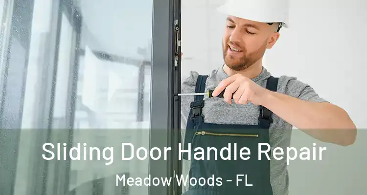 Sliding Door Handle Repair Meadow Woods - FL