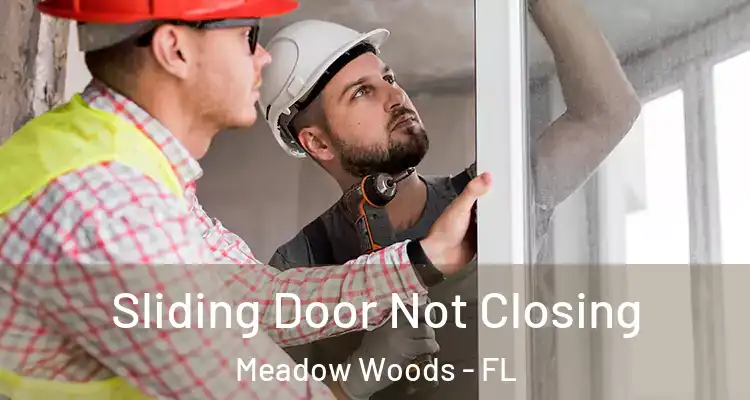 Sliding Door Not Closing Meadow Woods - FL