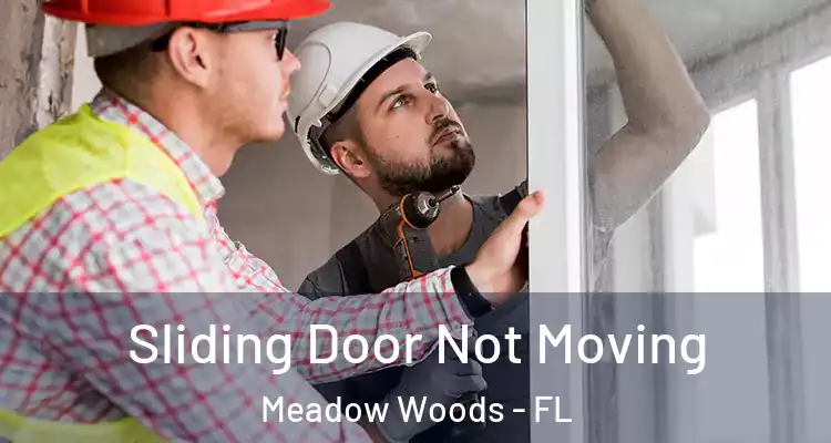 Sliding Door Not Moving Meadow Woods - FL