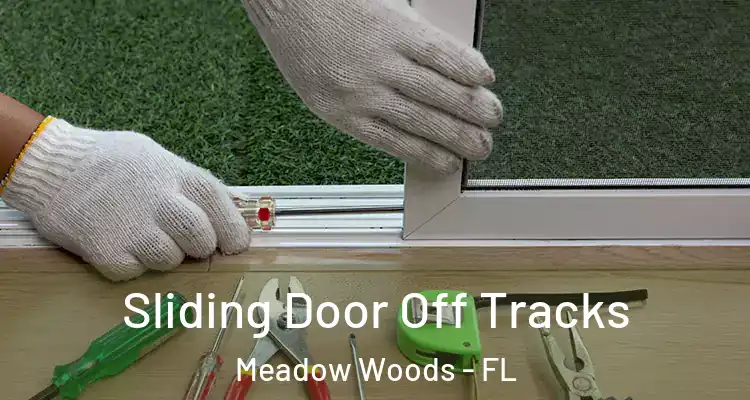 Sliding Door Off Tracks Meadow Woods - FL