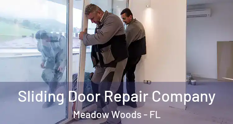 Sliding Door Repair Company Meadow Woods - FL