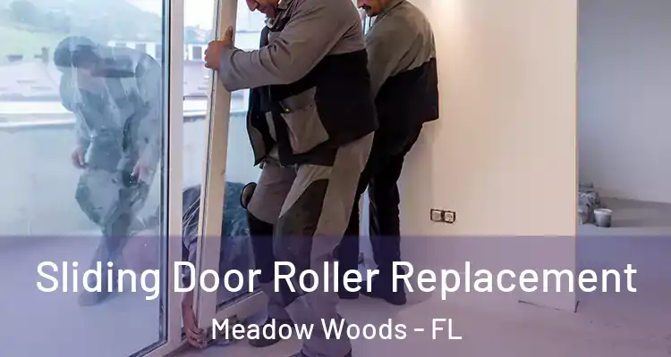 Sliding Door Roller Replacement Meadow Woods - FL