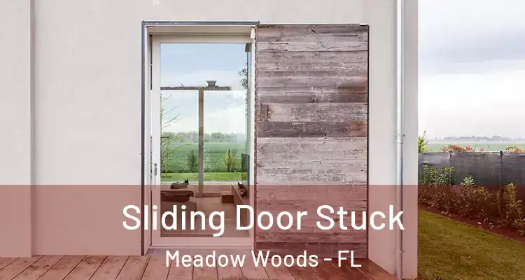 Sliding Door Stuck Meadow Woods - FL