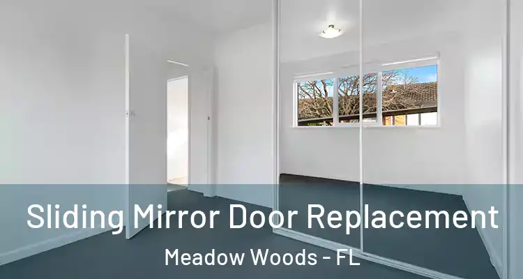 Sliding Mirror Door Replacement Meadow Woods - FL