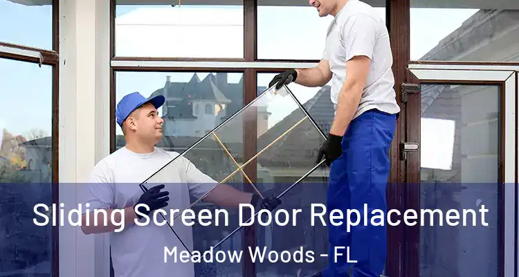 Sliding Screen Door Replacement Meadow Woods - FL