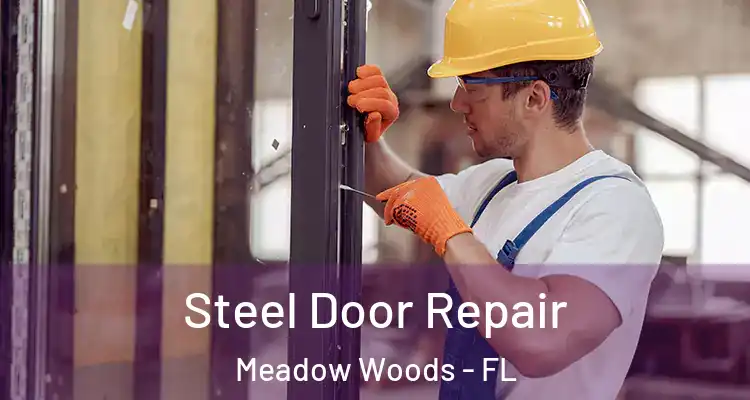 Steel Door Repair Meadow Woods - FL