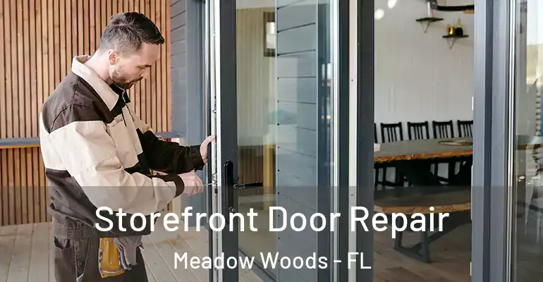 Storefront Door Repair Meadow Woods - FL