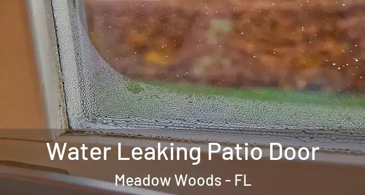 Water Leaking Patio Door Meadow Woods - FL