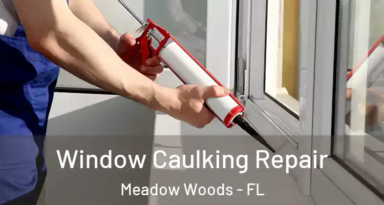 Window Caulking Repair Meadow Woods - FL