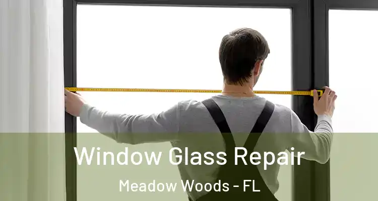 Window Glass Repair Meadow Woods - FL