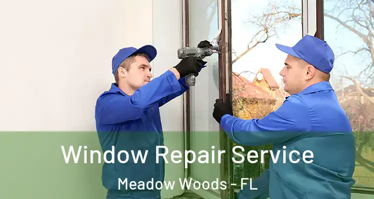 Window Repair Service Meadow Woods - FL