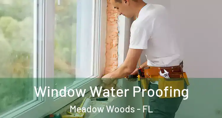 Window Water Proofing Meadow Woods - FL