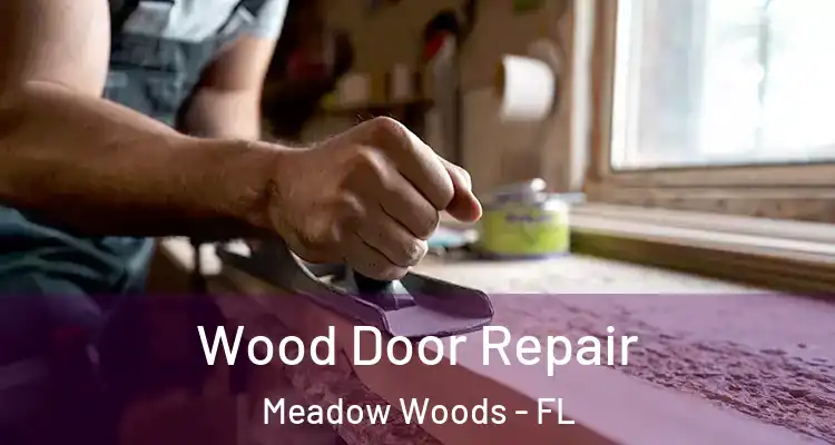 Wood Door Repair Meadow Woods - FL